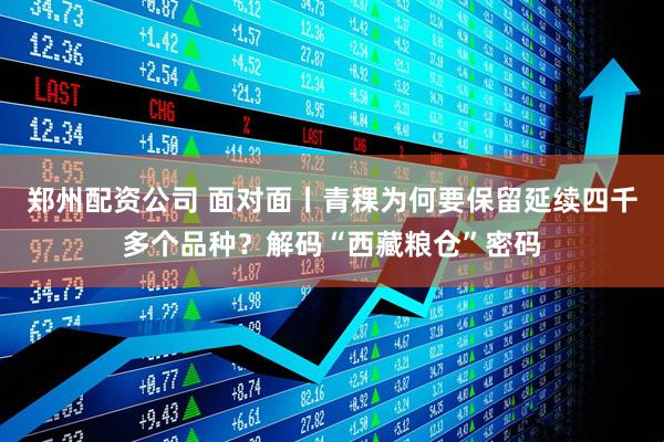 郑州配资公司 面对面丨青稞为何要保留延续四千多个品种？解码“西藏粮仓”密码
