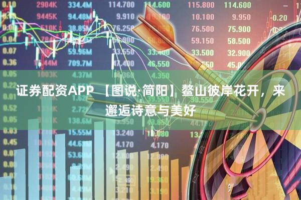 证券配资APP 【图说·简阳】鳌山彼岸花开，来邂逅诗意与美好