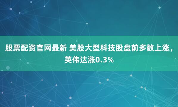股票配资官网最新 美股大型科技股盘前多数上涨，英伟达涨0.3%